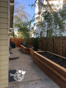 Backyard landscape gets a privacy boost with planters and clumping bamboo in N.E. Portland