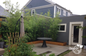 backyard privacy landscape design in NE Portland with clumping bamboo