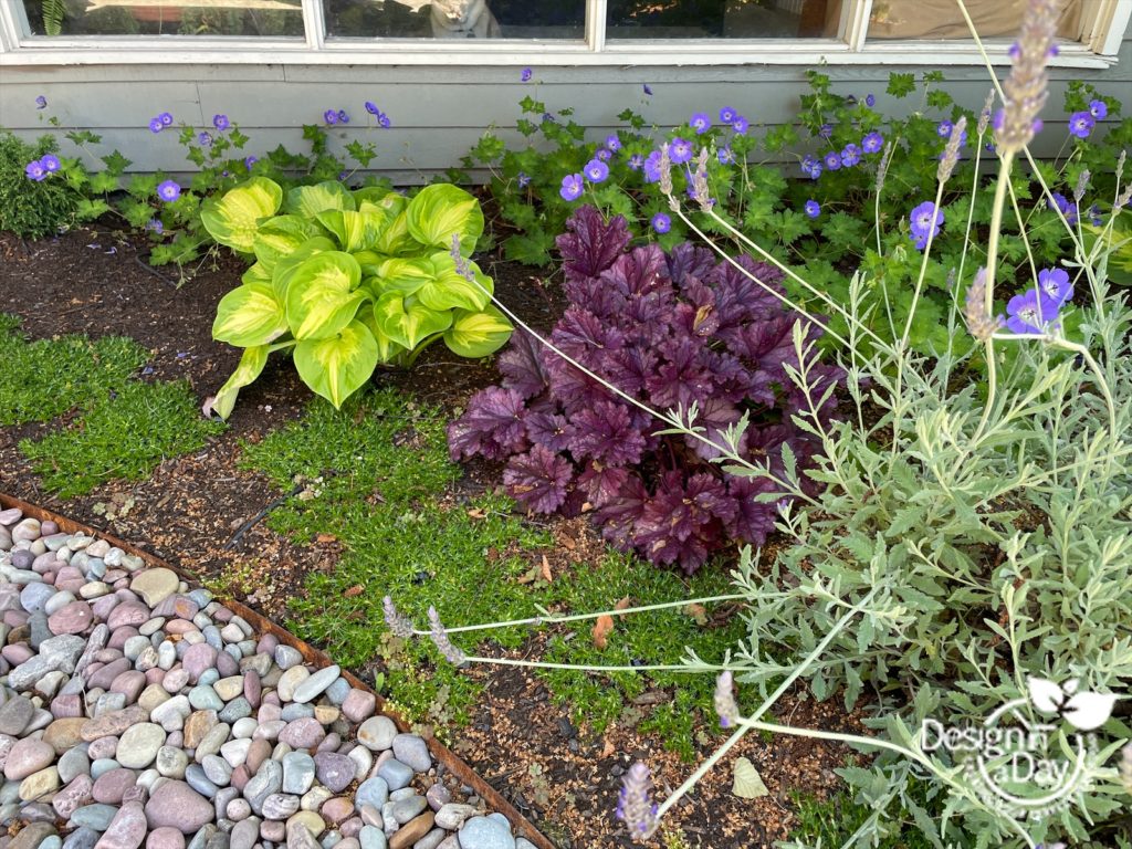 Portland Affordable Landscaping on a Budget