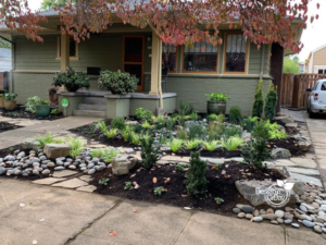 Portland front yard landscape design with rain garden