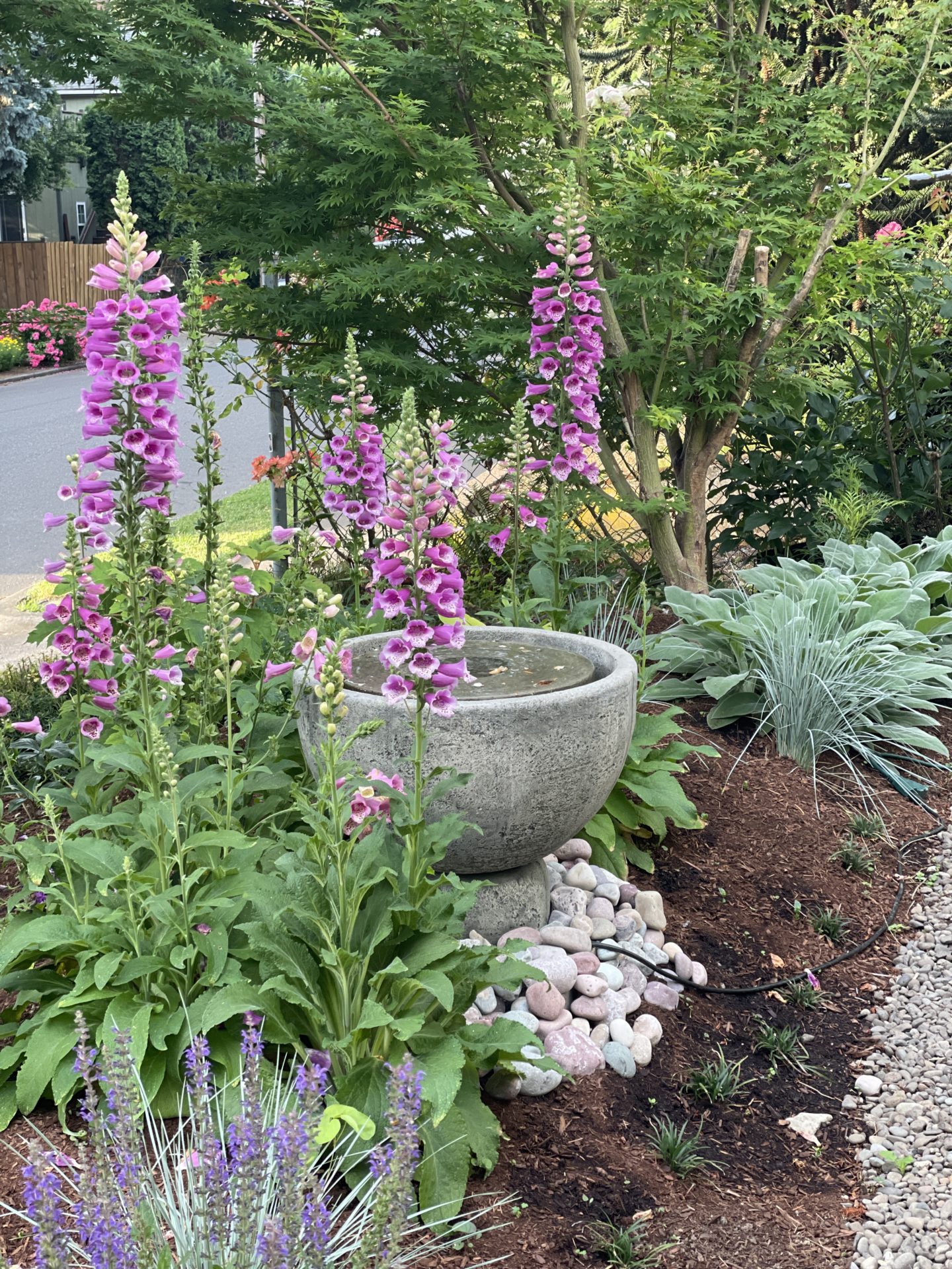 Cottage garden discount