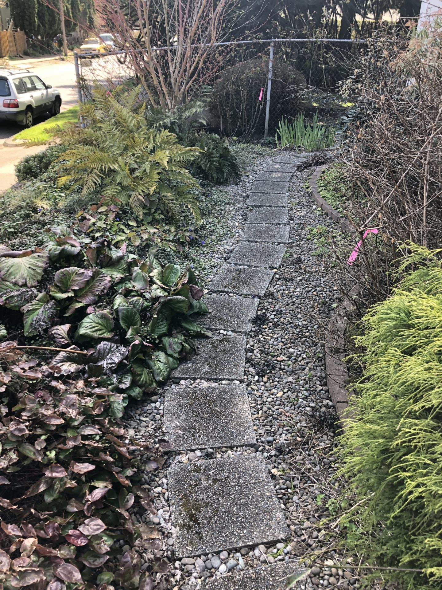 Before photo shows a path that subtracts beauty from a landscape in this Portland residential neighborhood.