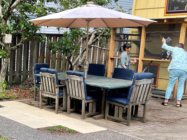Including privacy for backyard patio in Kerns neighborhood landscape design.