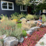 Colorful landscaping in Portland, Oregon