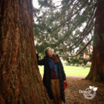Woman with Sequoia Tree