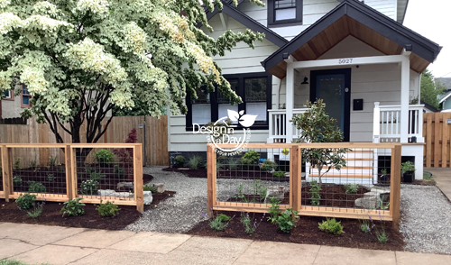 Concordia front yard with mature Dogwood gets new low water plantings installed.