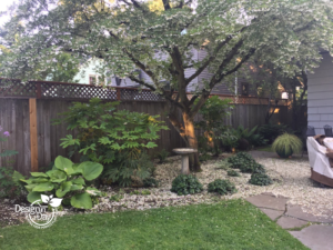 Flowering Tree with Beesia, Fatsia, Hosta plantings underneath