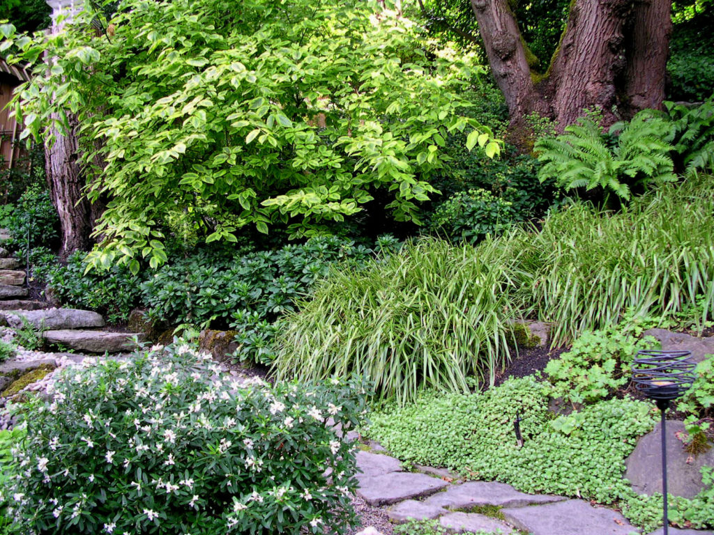 Residential landscape design for Portland gardeners.