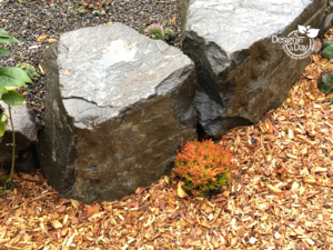 A hot orange foliaged heather sets off the warm tones of the Silver Springs Easy Stack wall rock providing outdoor living in University Park.
