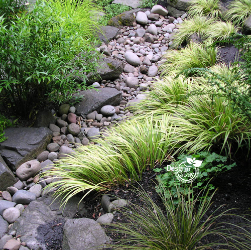 Rain garden for NW residential landscape design.