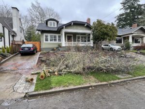 Storm damage prior to curb appeal landscaping update in Irvington.