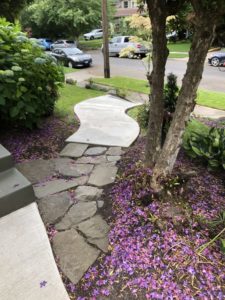 Before Irvington low maintenance curb appeal landscaping.