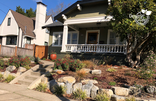 Irvington neighborhood home in late winter already sports colorful flowers and evergreen grasses.