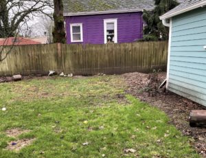 Portland Home Gets Privacy Landscape Treatment 