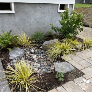 Portland rain garden for downspout.