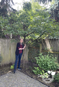 Carol Lindsay Portland landscape designer hugs young oak tree in Portland back yard.