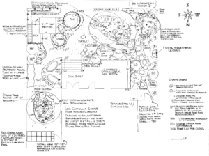 Outdoor Living oriented Landscape Design Drawing for Roseway neighborhood back yard in Portland Oregon