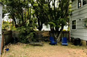 NE Portland back yard prior to landscaping installation.