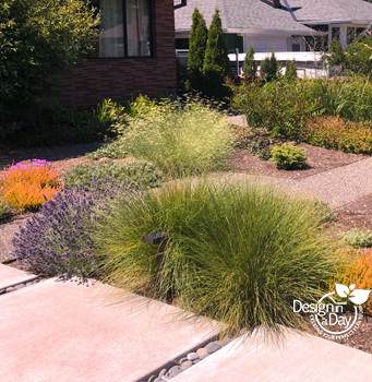 Grasses & pollinator friendly garden plants were picked for this Portland client.
