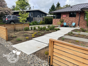 Portland Ardenwald neighborhood garden design includes rain garden and pollinator friendly plants. Portland front yard includes rain garden and pollinator friendly garden plants in this landscape design.