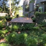 Lawn-free landscape design in Portland, Oregon by Landscape Design in a Day