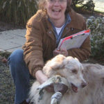 Dog Friendly Landscape Designer Portland Oregon