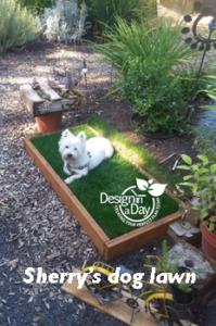 Portland Landscape Design dog pee lawn