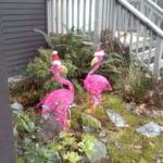 Wet area needs Rain Garden