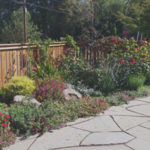 What a great summer garden, this is just months after the installation.