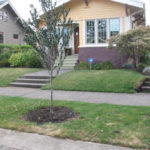 Classic NE Portland bungalow needs thoughtful no lawn landscape plan.