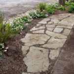 Easy Care Parking strip adds curb appeal