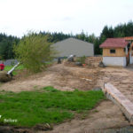 Portland Landscape Designer uses huge trees