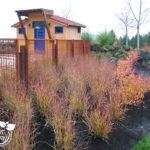 Portland area residential landscape designer.