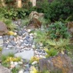 Downspout disconnect rain garden in Raliegh Hills. Designed by Carol Lindsay and D & J Landscape Contracting