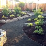 The beginning of Vickis new garden