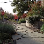 Susans Garden Path November 2012
