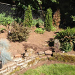 Before stone steps