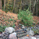 Portland Landscape Design Willamette Heights neghborhood
