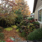 Portland Landscape Design East Moreland Fall photo