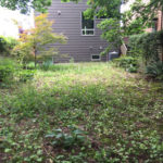 Dziedzic before backyard