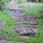 Hillside Garden Design Northwest Portland