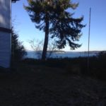 Douglas Fir at vacation house
