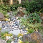 Rain Garden plants like dwarf golden acorus add drama.