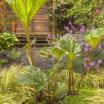 Texture Garden in SE Portland