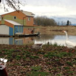 Portland Landscape Designer's Studio on the river