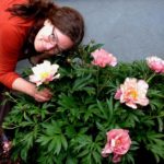 Designer shows off Itoh Peony for her daughter