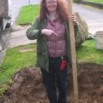 How to plant a big tree