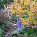 Landscape Designer, Carol Lindsay
