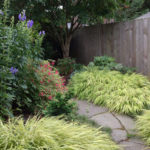 Colorful plants make a beautiful landscap addition in this Portland, Oregon area yard