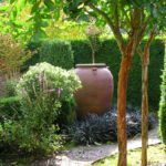 Crepe Myrtle - photo taken at J Stone Garden